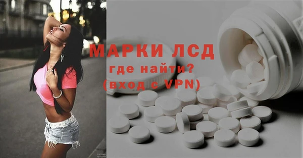 прущий лед Алзамай