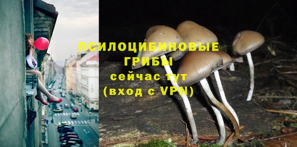 винт Абдулино