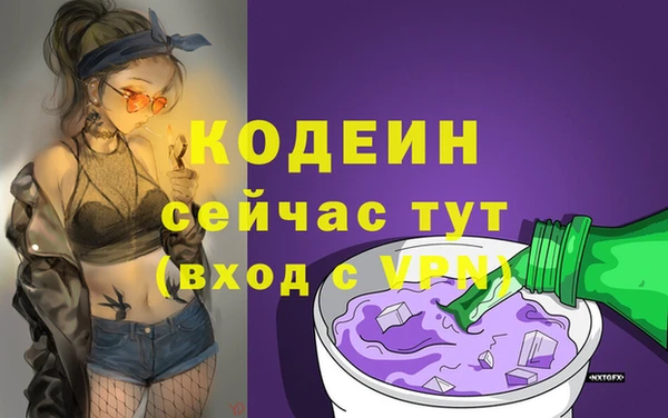 прущий лед Алзамай