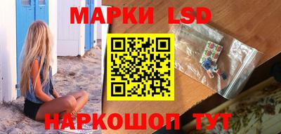 винт Новозыбков