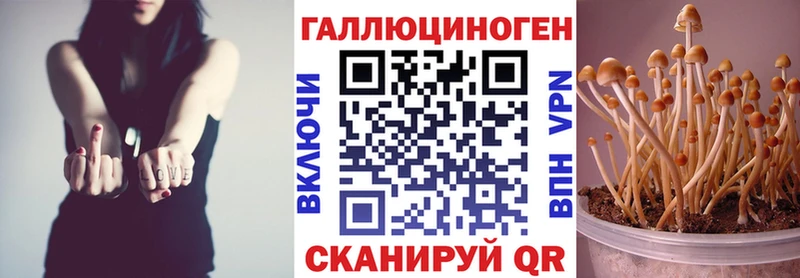Псилоцибиновые грибы Psilocybe  продажа наркотиков  Новочеркасск 