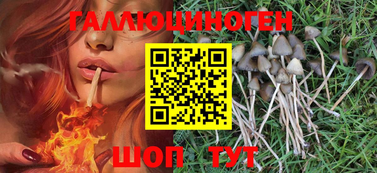 Новочеркасск  Псилоцибиновые грибы мухоморы  Вход с VPN 