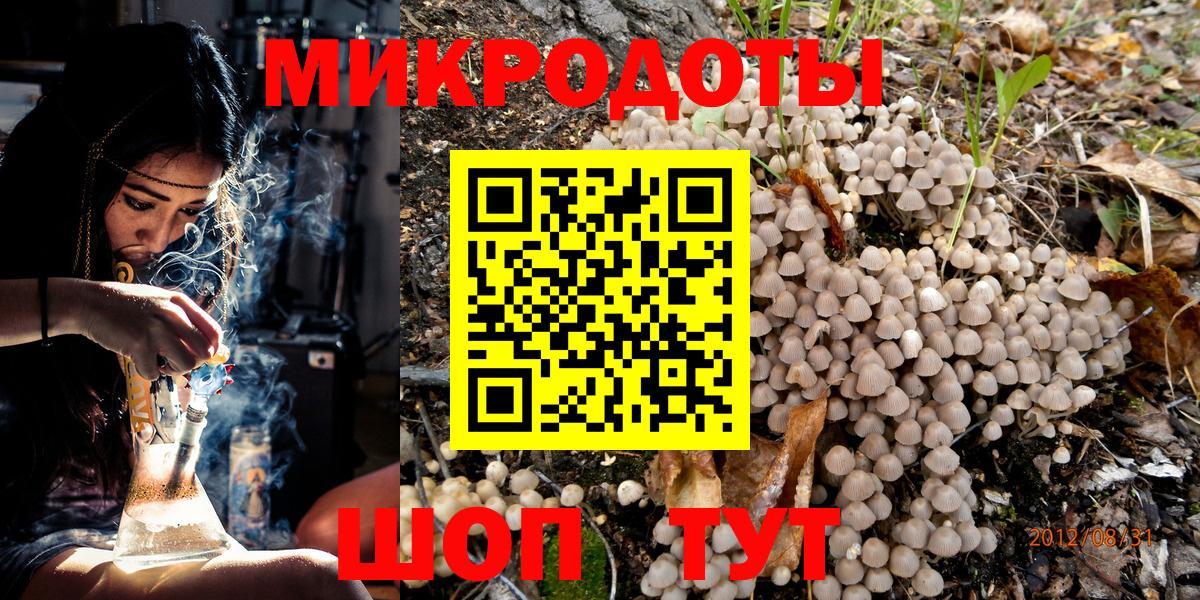 Галлюциногенные грибы Psilocybe Новочеркасск